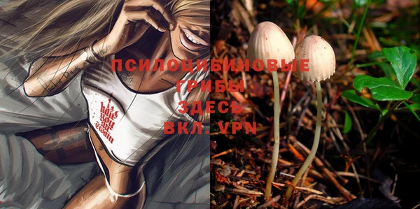прущая мука Киренск