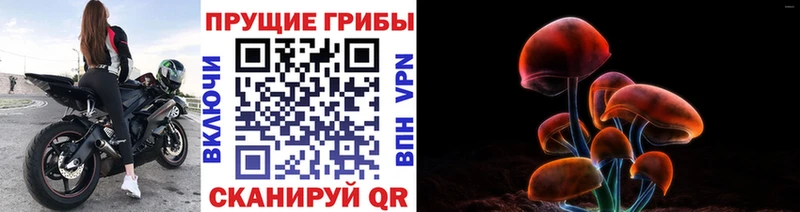 Псилоцибиновые грибы мухоморы  Купить  Старый Крым 